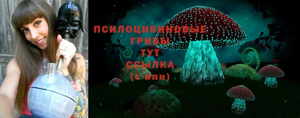 ГАЛЛЮЦИНОГЕННЫЕ ГРИБЫ Аркадак