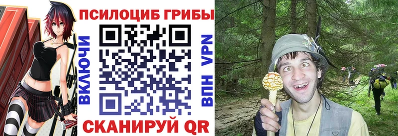 Псилоцибиновые грибы мухоморы  хочу наркоту  omg онион  Малоархангельск 